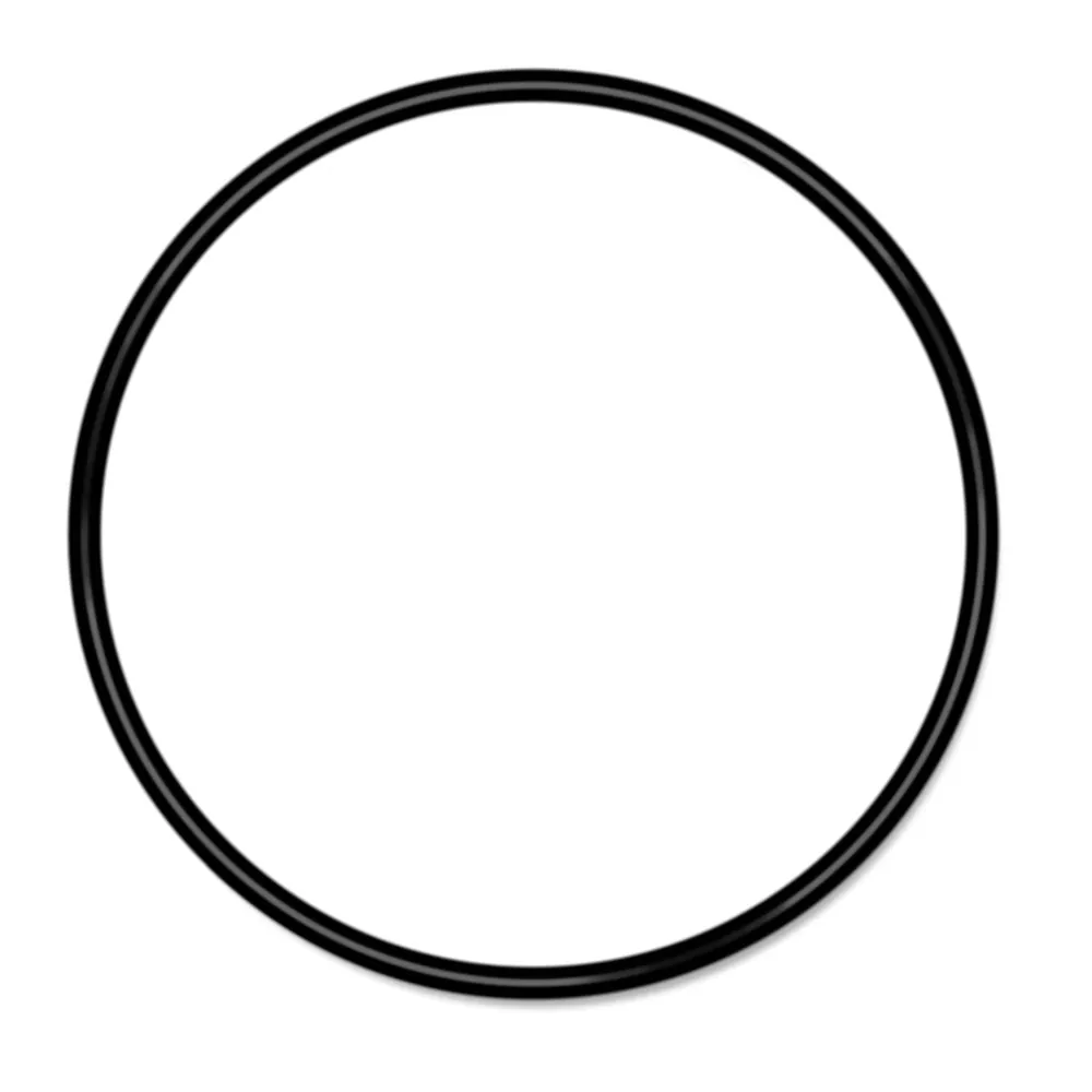 Filter Canister Lid O-Ring - 6¼"