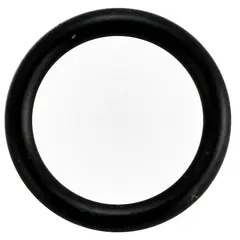 Waterway Drain Plug O-ring 805-0112