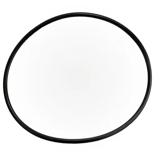 Waterway Filter Lid O-ring 805-0360